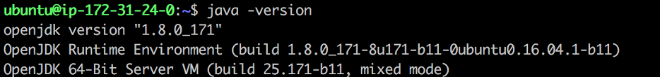 check java